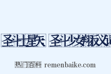 圣斗士星矢：圣斗少女翔反义词是什么意思的图片